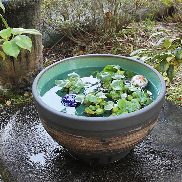 高級感 水鉢 すいれん鉢 信楽焼すいれん鉢 メダカ鉢 金魚鉢 睡蓮鉢 陶器スイレン鉢 ハス鉢 はす鉢 めだか鉢 鉢 陶器 水連鉢 手水鉢 やきもの 13号 Su 0251 期間限定特価 Www Muslimaidusa Org