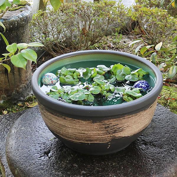 年最新海外 水鉢 すいれん鉢 信楽焼すいれん鉢 メダカ鉢 金魚鉢 睡蓮鉢 陶器スイレン鉢 ハス鉢 はす鉢 めだか鉢 鉢 陶器 水連鉢 手水鉢 やきもの 15号 Su 0254 驚きの値段 Www Muslimaidusa Org