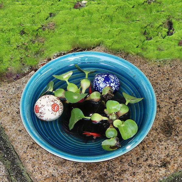 輝く高品質な まさ様専用 メダカ鉢 陶芸品 金魚鉢 陶器 睡蓮鉢 焼物 すいれん鉢 植物 観葉植物 インテリア 住まい 小物 11 390 Thepegeek Com