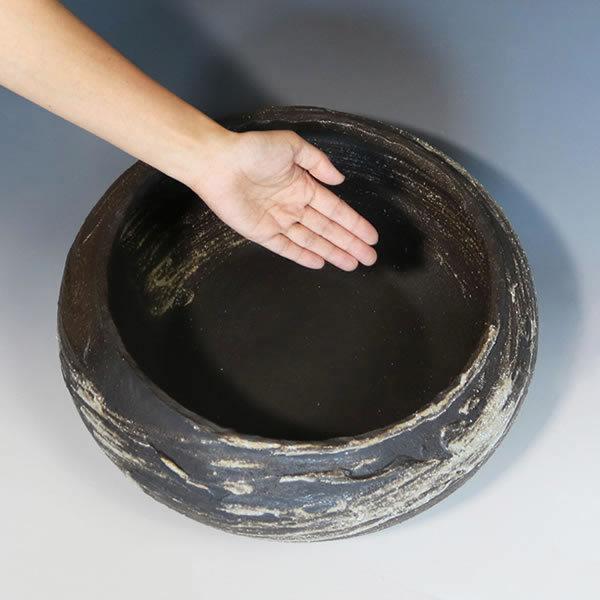 信楽焼 睡蓮鉢 メダカ鉢 おしゃれ めだか鉢 陶器 水鉢 ビオトープ