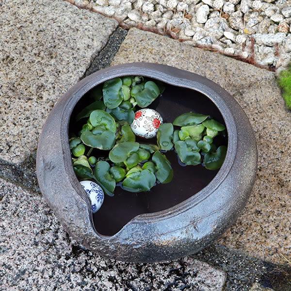 信楽焼 睡蓮鉢 メダカ鉢 おしゃれ めだか鉢 陶器 水鉢