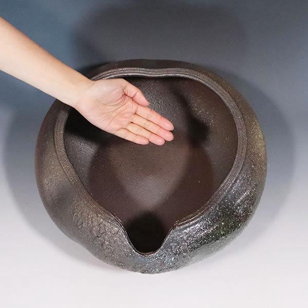 信楽焼 睡蓮鉢 メダカ鉢 おしゃれ めだか鉢 陶器 水鉢 ビオトープ