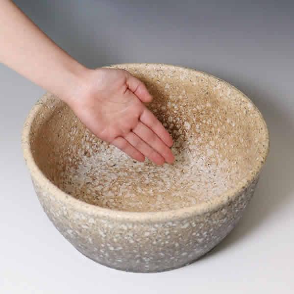 信楽焼 睡蓮鉢 メダカ鉢 おしゃれ めだか鉢 陶器 水鉢 ビオトープ