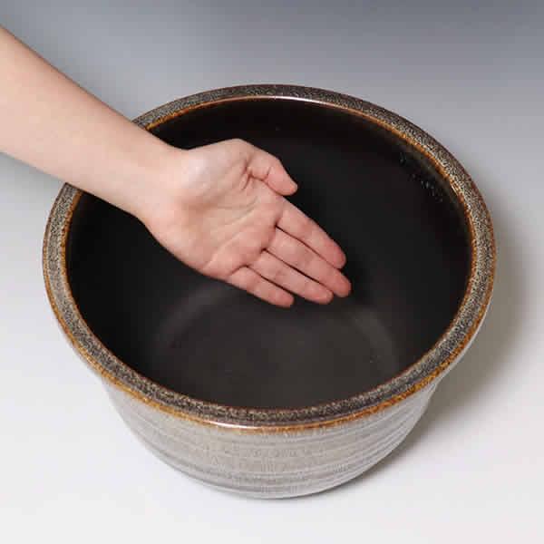 信楽焼 睡蓮鉢 メダカ鉢 おしゃれ めだか鉢 陶器 水鉢 ビオトープ