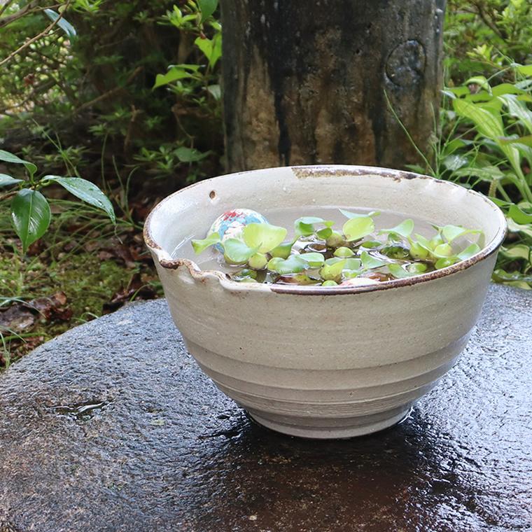 メダカ鉢 オーバーフロー付き 睡蓮鉢 めだか 金魚鉢 陶器 白 黒 メダカ鉢 オーバーフロー付き 睡蓮鉢 めだか 金魚鉢 陶器 白 黒