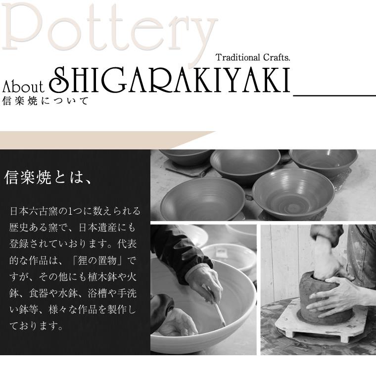 信楽焼 メダカ鉢 おしゃれ 水鉢 睡蓮鉢 陶器 めだか 鉢 金魚鉢 青