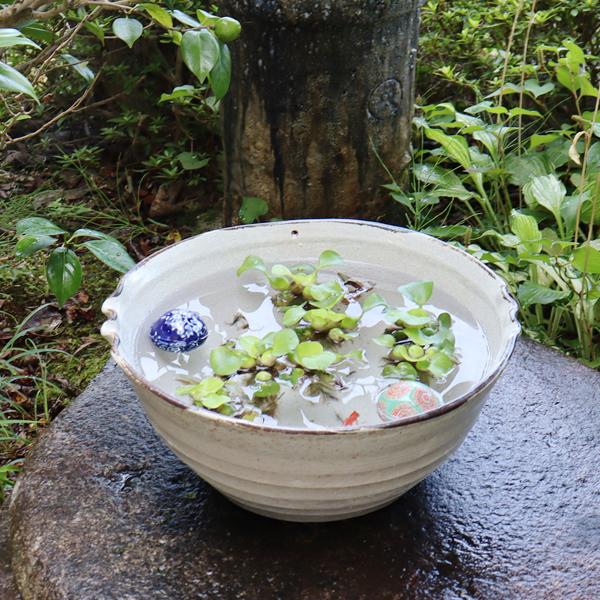 信楽焼 睡蓮鉢 メダカ鉢 おしゃれ めだか鉢 陶器 水鉢 信楽焼 睡蓮鉢 メダカ鉢 おしゃれ めだか鉢 陶器 水鉢