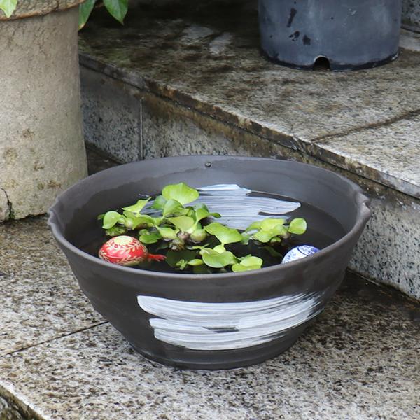 信楽焼 睡蓮鉢 メダカ鉢 おしゃれ めだか鉢 陶器 水鉢 信楽焼 睡蓮鉢 メダカ鉢 おしゃれ めだか鉢 陶器 水鉢