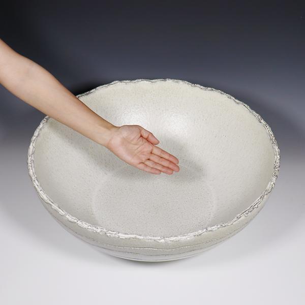 信楽焼 睡蓮鉢 メダカ鉢 おしゃれ めだか鉢 陶器 水鉢 ビオトープ