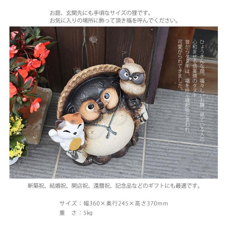 信楽焼 11号古信楽風ふくろう招き猫持ち狸 たぬき 狸 開運 縁起物