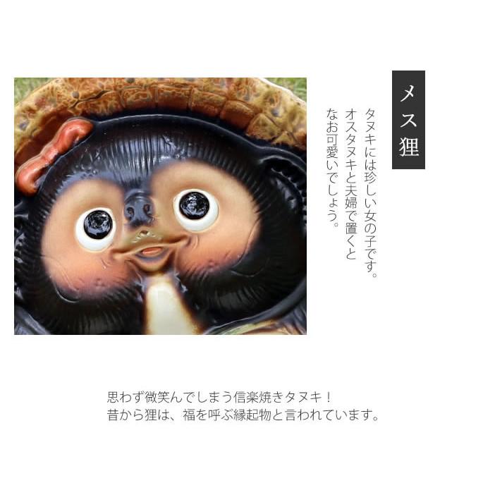 信楽焼 13号メス狸 たぬき タヌキ 開運 縁起物 可愛い 陶器 商売 信楽焼 13号メス狸 たぬき タヌキ 開運 縁起物 可愛い 陶器 商売