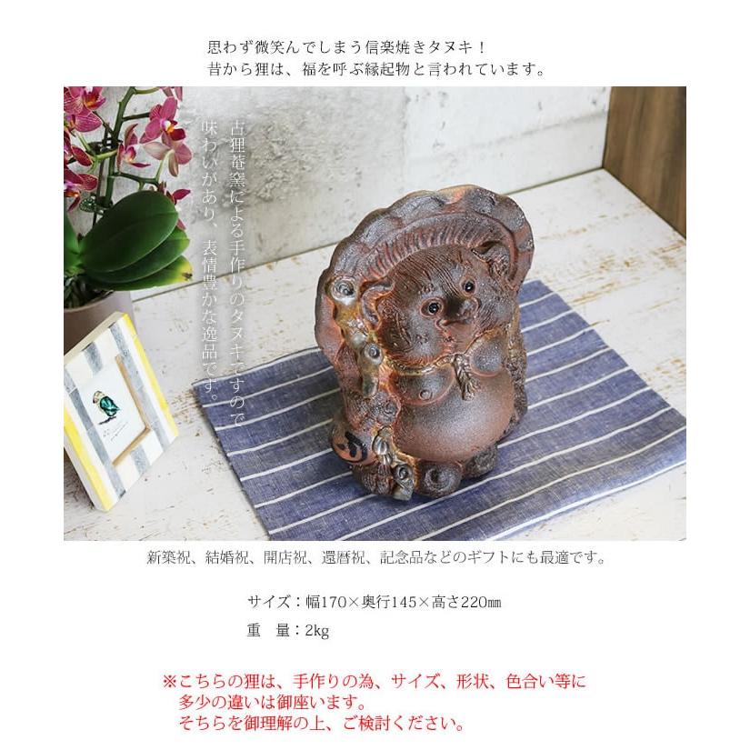 信楽焼 7号福ひねり狸 たぬき タヌキ 古狸庵 開運 縁起物 可愛い 信楽焼 7号福ひねり狸 たぬき タヌキ 古狸庵 開運 縁起物 可愛い