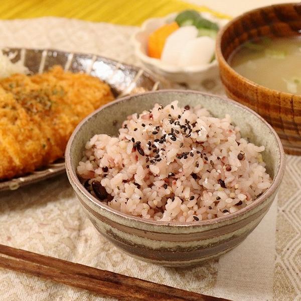 信楽焼 飯碗 おしゃれ 茶碗 ご飯茶碗 陶器 器 うつわ 飯茶碗 茶漬け碗 和食器 どんぶり 丼ぶり 萌黄ライン飯碗 w311-03｜shigaraki｜02