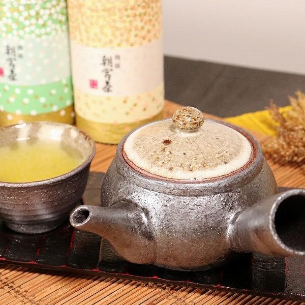信楽焼 急須 土もの急須 陶器 やきもの 信楽 ティーポット 食器 器