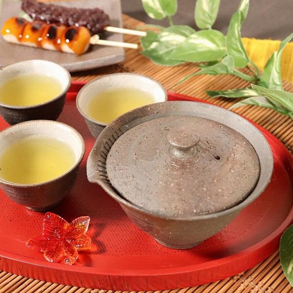 信楽焼 急須 土もの急須 陶器 やきもの 信楽 ティーポット 食器 器