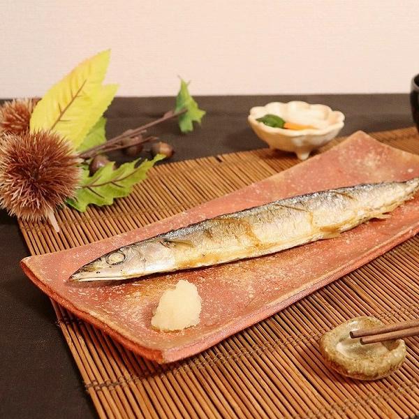 信楽焼 長皿 信楽焼 長皿 食器 和食器 おしゃれ 34cm サンマ皿 角皿 焼き魚皿
