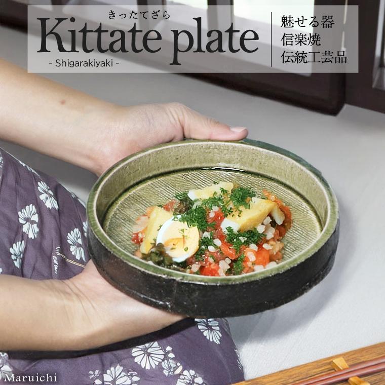 信楽焼 切立皿 パスタ皿 18.5cm ランチプレート おしゃれ 丸皿 高い