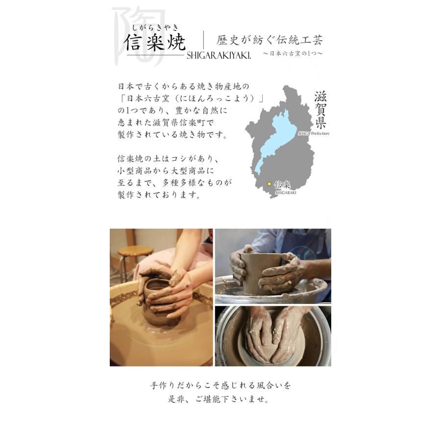 信楽焼 小鉢 15cm 取皿 深鉢 おしゃれ 中鉢 一品皿 鉢 青 盛り鉢