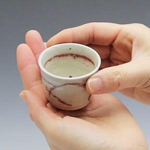 信楽焼 酒器セット 紅彩酒器セット 徳利 盃 日本酒 ぐい呑み 注器 片口