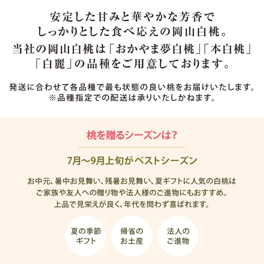 岡山白桃3個・清水白桃ゼリー3個詰合せ　お中元 ギフト 御中元【注文締切予定日：8月5日】【出荷時期：8月〜8月10日頃】_8