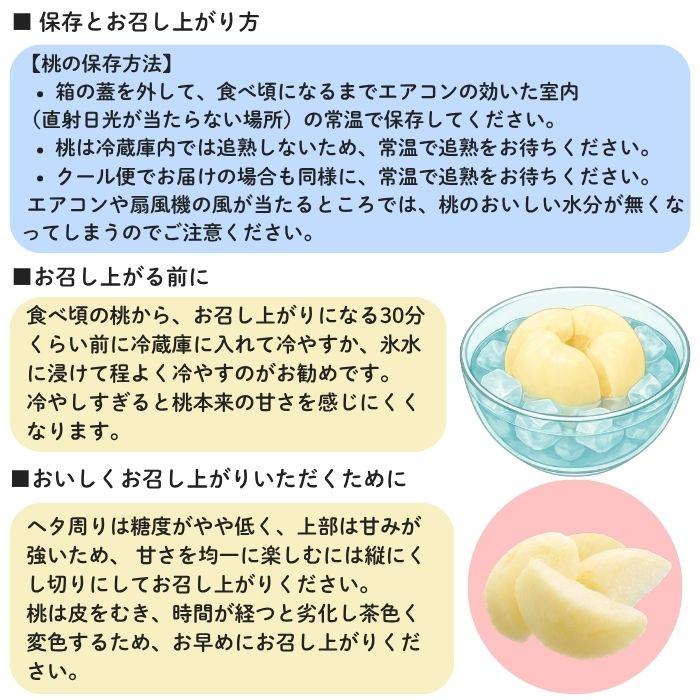 岡山白桃3個・清水白桃ゼリー3個詰合せ　お中元 ギフト 御中元【注文締切予定日：8月5日】【出荷時期：8月〜8月10日頃】_13