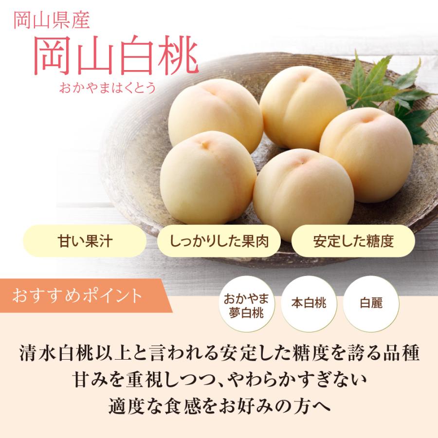 岡山白桃 特級L 7玉 岡山 白桃 お中元 ギフト お供 お取り寄せ【注文締切予定日:8月5日】【出荷時期：8月〜8月10日頃】okahaku-1_1