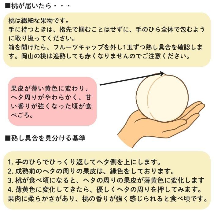 岡山白桃 特級L 7玉 岡山 白桃 お中元 ギフト お供 お取り寄せ【注文締切予定日:8月5日】【出荷時期：8月〜8月10日頃】okahaku-1_8