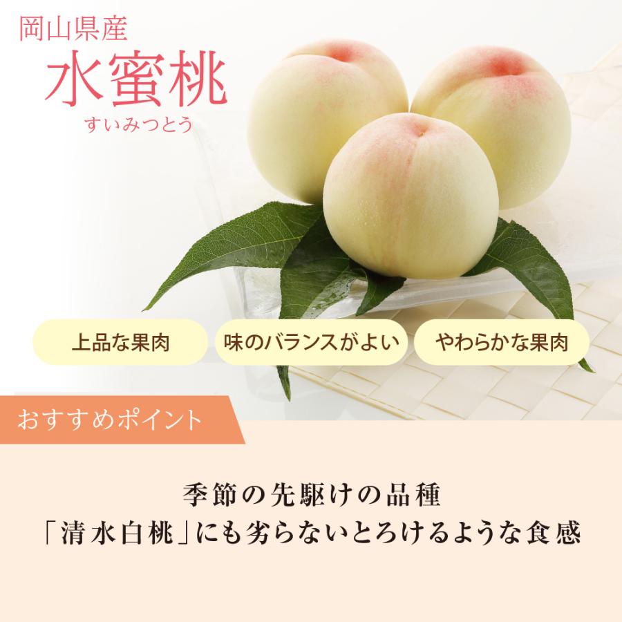 水蜜桃 特級L 10玉 岡山 白桃 お中元 ギフト お供 お取り寄せ【注文締切予定日:7月15日】【出荷時期：7月上旬〜7月中旬頃】sui-1_1