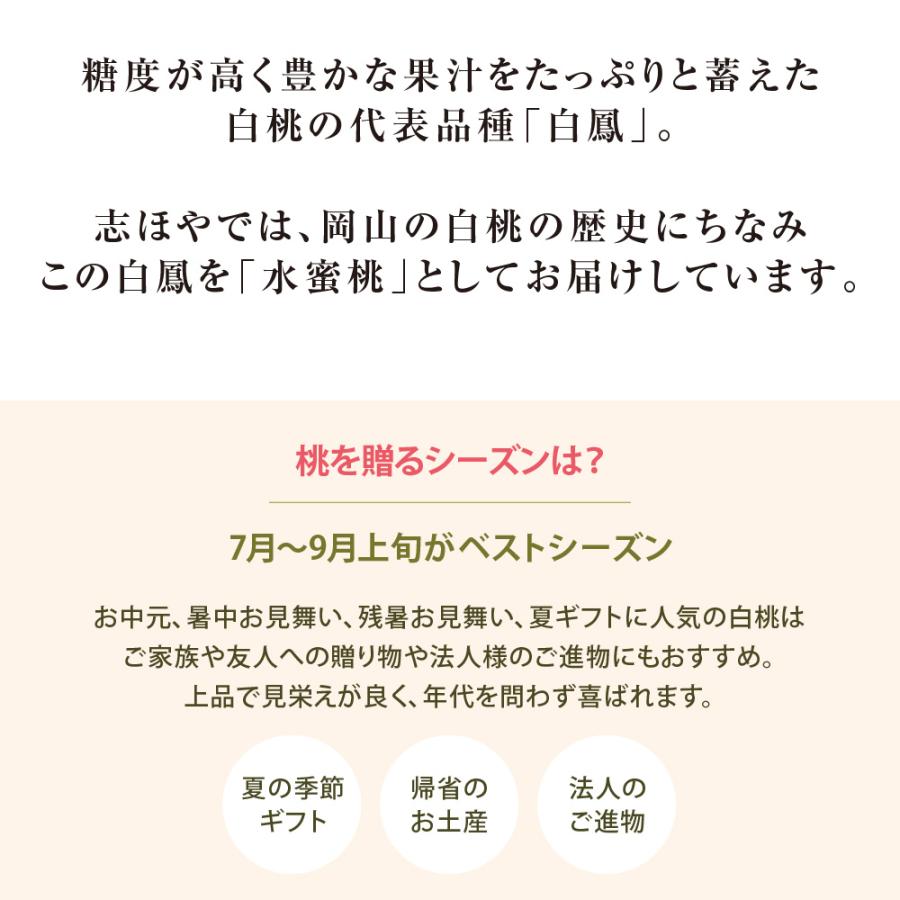 水蜜桃 特級L 10玉 岡山 白桃 お中元 ギフト お供 お取り寄せ【注文締切予定日:7月15日】【出荷時期：7月上旬〜7月中旬頃】sui-1_2