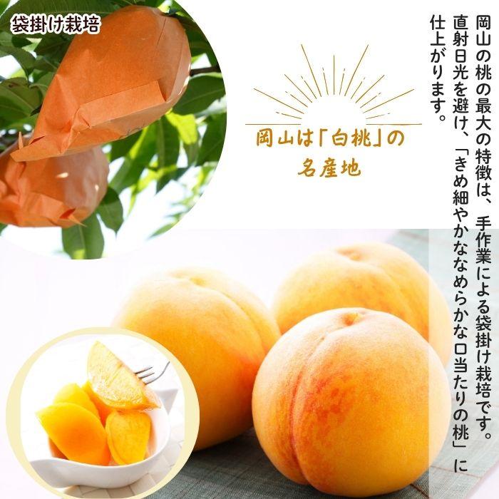 黄金桃 超特級 2L 7玉 岡山 桃 ギフト お供 お取り寄せ【注文締切予定日:9月2日】【出荷時期：8月下旬または9月初旬頃】_4
