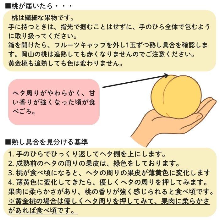 黄金桃 超特級 2L 7玉 岡山 桃 ギフト お供 お取り寄せ【注文締切予定日:9月2日】【出荷時期：8月下旬または9月初旬頃】_8