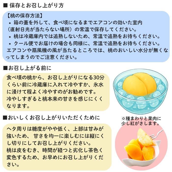 黄金桃 超特級 2L 7玉 岡山 桃 ギフト お供 お取り寄せ【注文締切予定日:9月2日】【出荷時期：8月下旬または9月初旬頃】_9