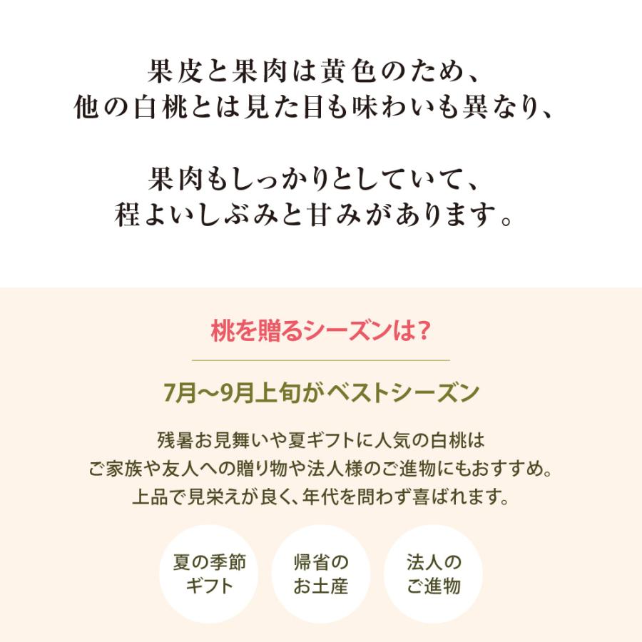 黄金桃 超特級 2L 7玉 岡山 桃 ギフト お供 お取り寄せ【注文締切予定日:9月2日】【出荷時期：8月下旬または9月初旬頃】_2