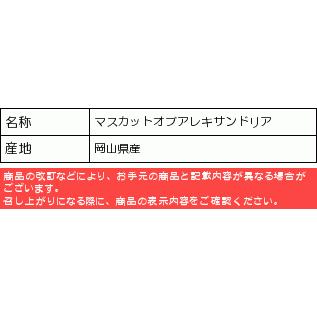 マスカット オブ アレキサンドリア 2房 （7月1日〜8月20日出荷分） 岡山 ぶどう お中元 ギフト｜shihoya｜02