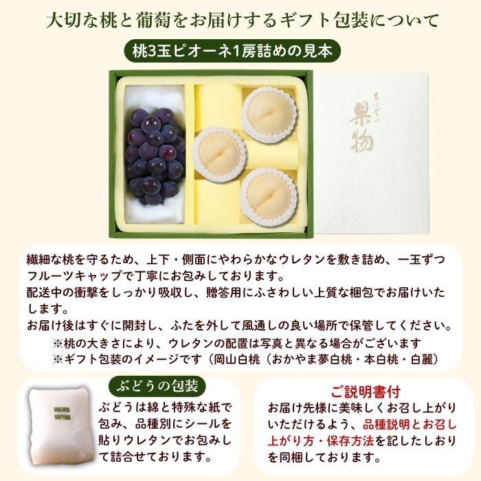 岡山白桃・ピオーネ詰合せ（3玉・1房） 岡山 白桃 ぶどう お中元 ギフト お供 お取り寄せ_11