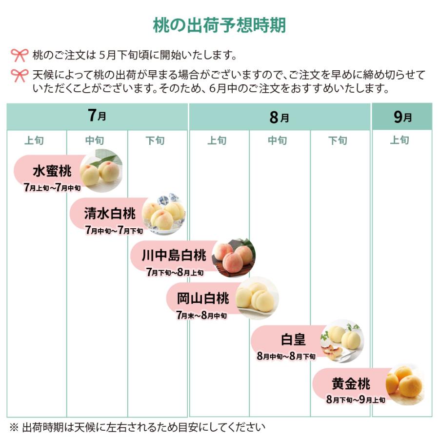 清水白桃 特級 L8玉 岡山 白桃 お中元 ギフト お供 お取り寄せ【注文締切予定日:7月20日】【出荷時期：7月中旬〜7月下旬頃】_3
