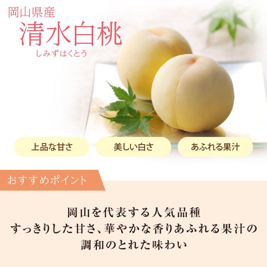 清水白桃 特級 L8玉 岡山 白桃 お中元 ギフト お供 お取り寄せ【注文締切予定日:7月20日】【出荷時期：7月中旬〜7月下旬頃】_1