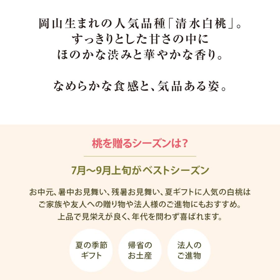 清水白桃 特級 L8玉 岡山 白桃 お中元 ギフト お供 お取り寄せ【注文締切予定日:7月20日】【出荷時期：7月中旬〜7月下旬頃】_2