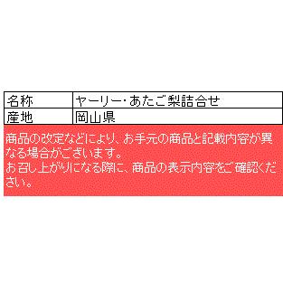 あたご梨・ヤーリー詰合せ 岡山県産 お歳暮 お祝 内祝 お供え お返し お取り寄せ ギフト（あたご2玉、ヤーリー6玉）｜shihoya｜02