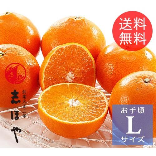 紅マドンナ 紅まどんな Lサイズ お祝 内祝 お供え お返し お取り寄せ 高級 みかん お歳暮 ギフト1 2kg 6玉位 0679 001 志ほや 通販 Yahoo ショッピング