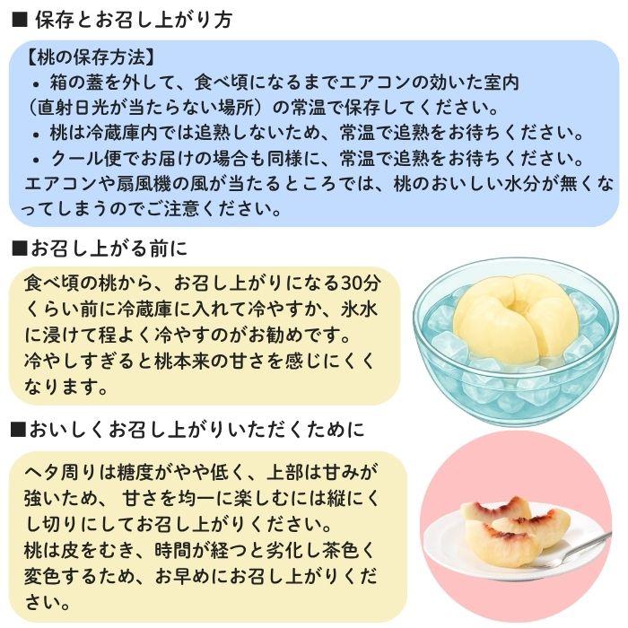 白皇・シャインマスカット詰合せ 岡山県産 白皇 2Lサイズ 3玉 シャインマスカット1房（700ｇ）【注文締切予定日:8月25日】【出荷時期：8月21日〜8月下旬頃】_13