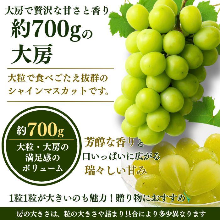 白皇・シャインマスカット詰合せ 岡山県産 白皇 2Lサイズ 3玉 シャインマスカット1房（700ｇ）【注文締切予定日:8月25日】【出荷時期：8月21日〜8月下旬頃】_9
