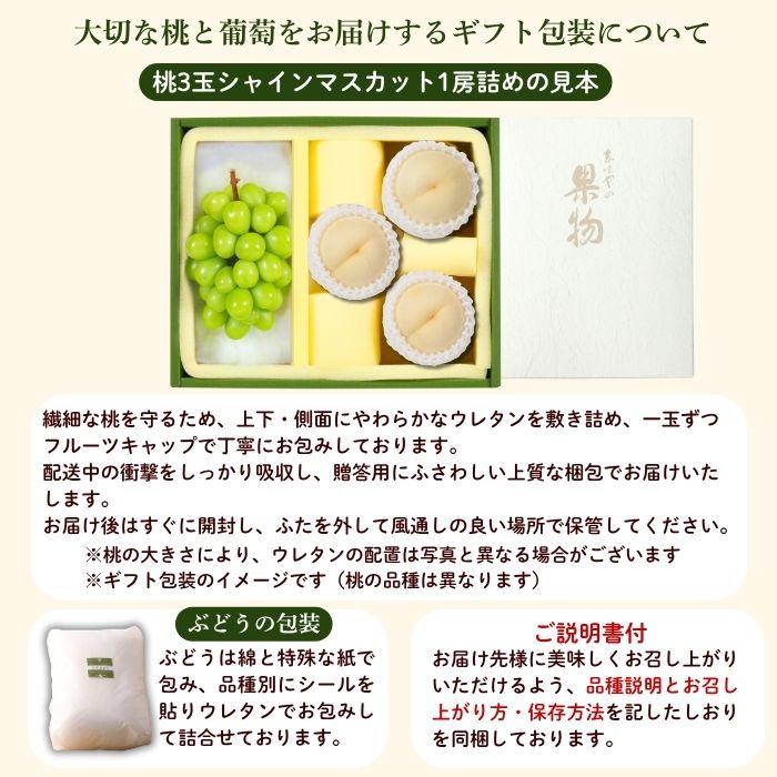 白皇・シャインマスカット詰合せ 岡山県産 白皇 2Lサイズ 3玉 シャインマスカット1房（700ｇ）【注文締切予定日:8月25日】【出荷時期：8月21日〜8月下旬頃】_11
