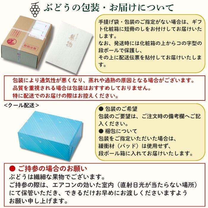 白皇・シャインマスカット詰合せ 岡山県産 白皇 2Lサイズ 3玉 シャインマスカット1房（700ｇ）【注文締切予定日:8月25日】【出荷時期：8月21日〜8月下旬頃】_12