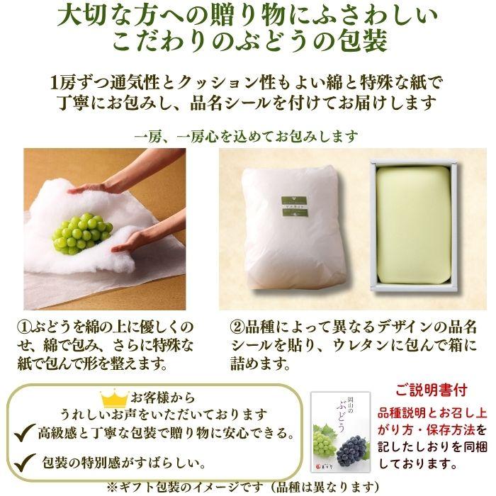白皇・シャインマスカット詰合せ 岡山県産 白皇 2Lサイズ 3玉 シャインマスカット1房（700ｇ）【注文締切予定日:8月25日】【出荷時期：8月21日〜8月下旬頃】_10