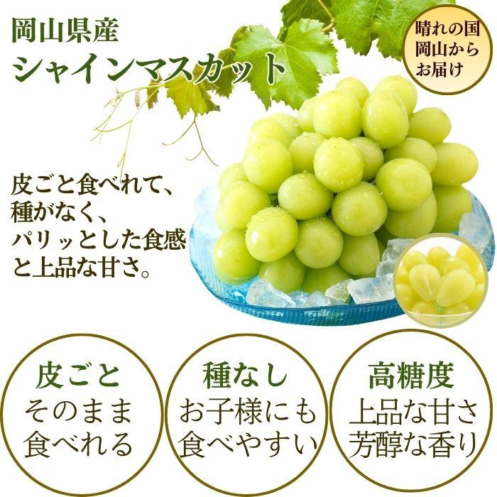 白皇・シャインマスカット詰合せ 岡山県産 白皇 2Lサイズ 3玉 シャインマスカット1房（700ｇ）【注文締切予定日:8月25日】【出荷時期：8月21日〜8月下旬頃】_8