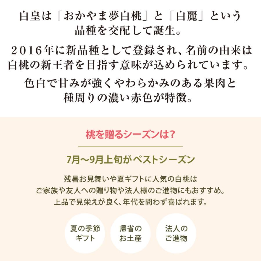白皇・シャインマスカット詰合せ 岡山県産 白皇 2Lサイズ 3玉 シャインマスカット1房（700ｇ）【注文締切予定日:8月25日】【出荷時期：8月21日〜8月下旬頃】_4