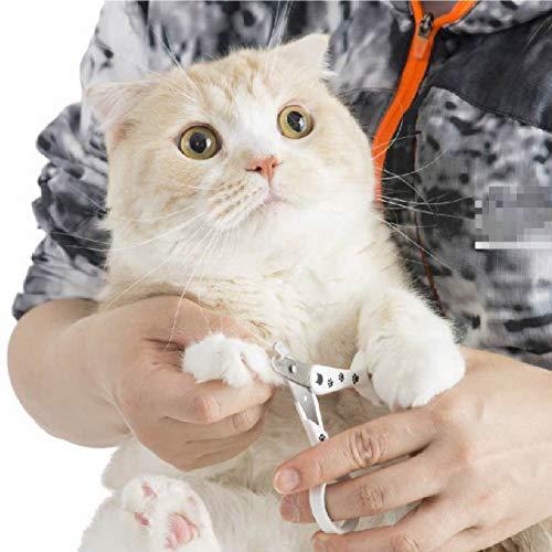 猫壱（necoichi） ストレスなくスパッと切れる猫用爪切り 日本製 (ベーシック)