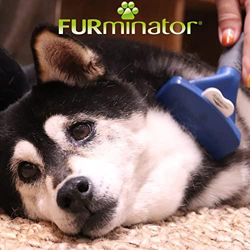 ファーミネーター中型犬M短毛種用「キレイウォーター」限定セット その他 ブルー 犬 中型犬用