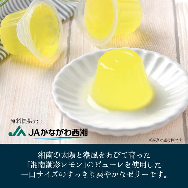 メーカー直送】しいの食品 湘南レモンゼリー 12個 スイーツ ゼリー お
